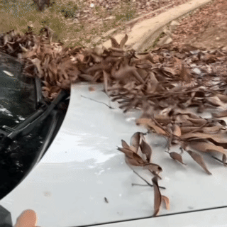 Turbo Jet Air Blower