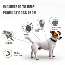 PawDefend