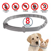 PawDefend