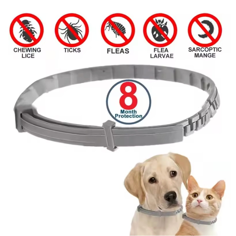 PawDefend