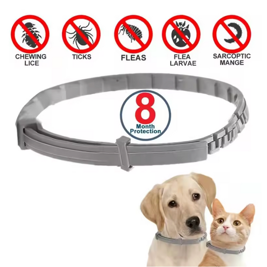 PawDefend